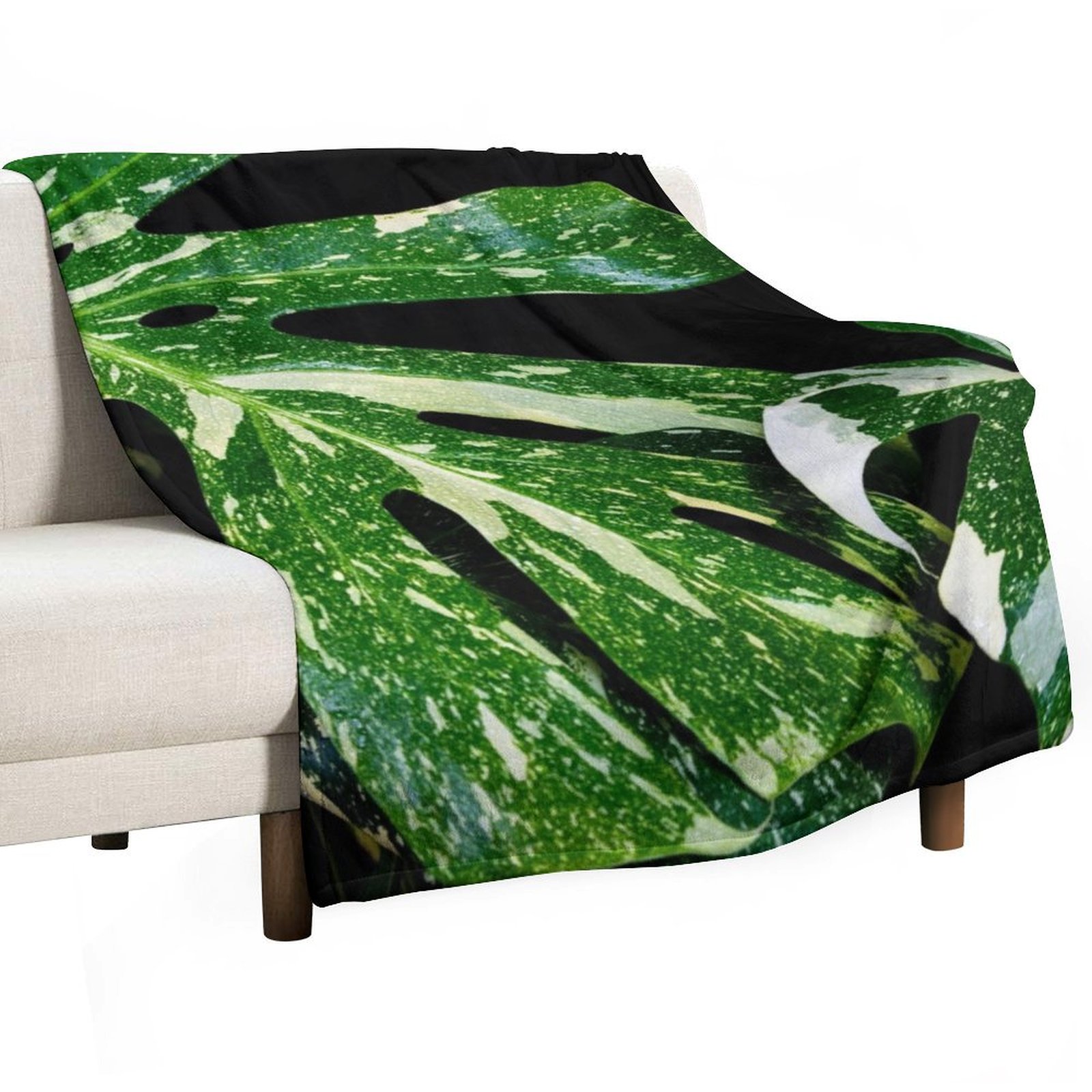 Monstera Thai Constellation Th - Monstera Thai Constellation 评论和价格