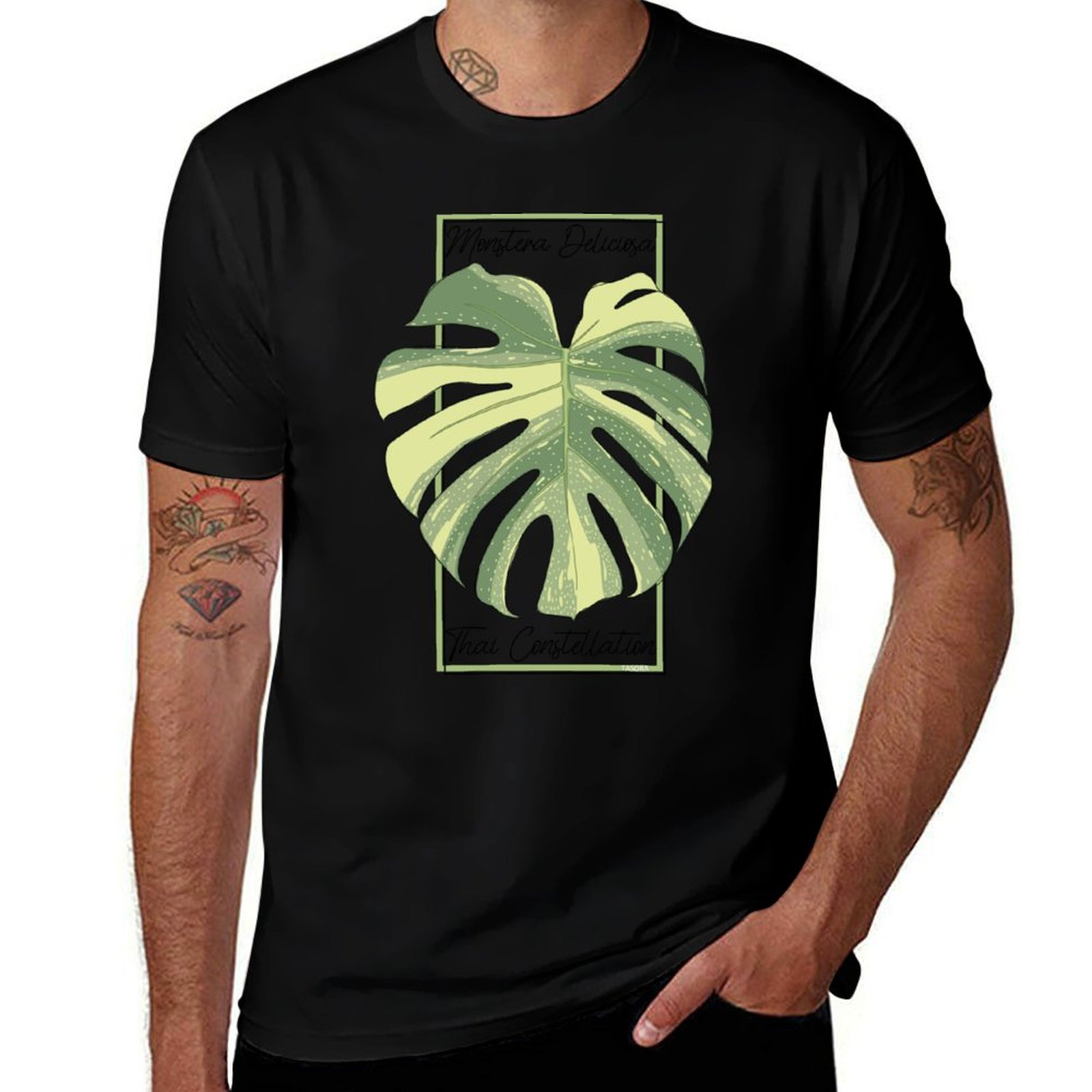 Monstera Thai Constellation Bo - Monstera Thai Constellation 评论和价格