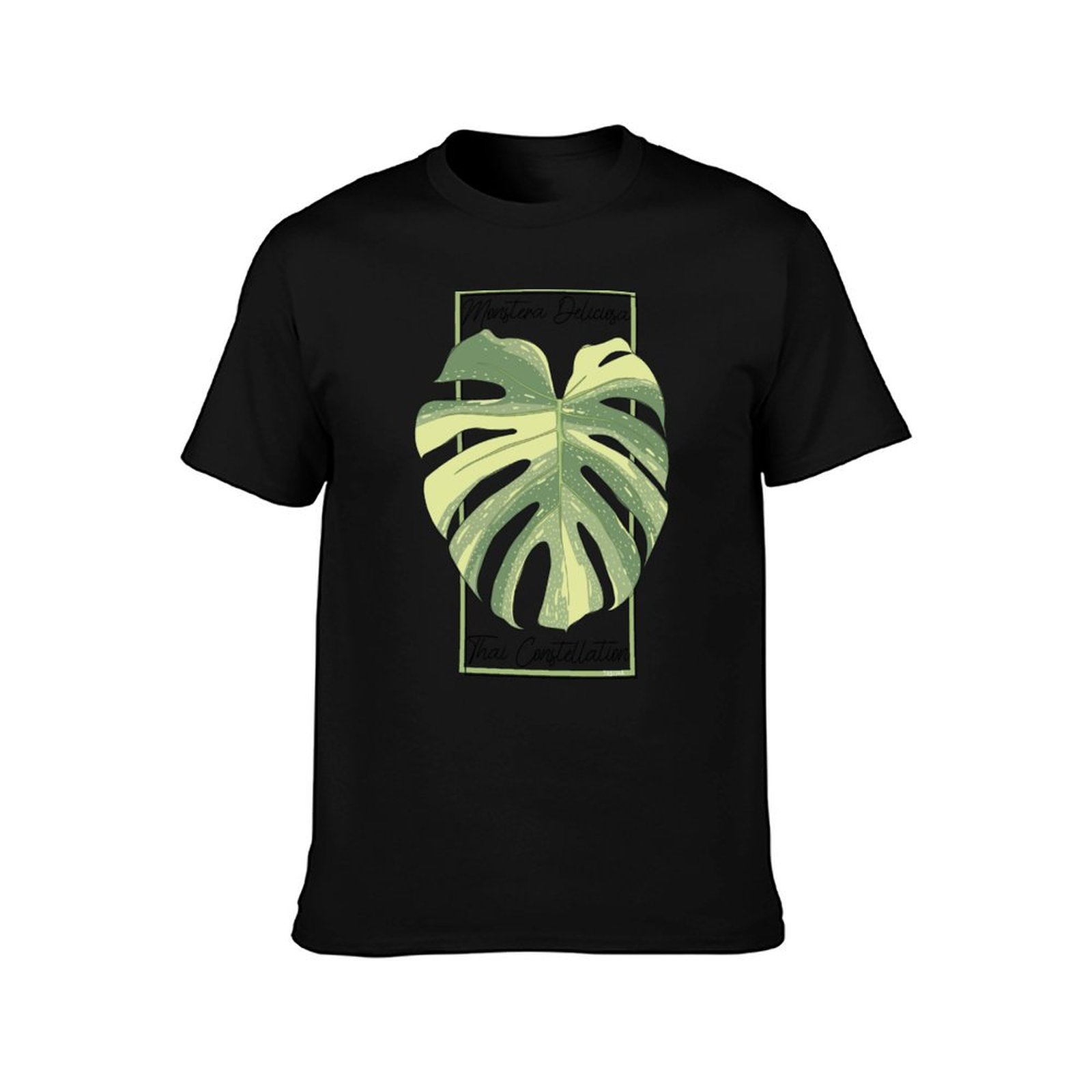 Monstera Thai Constellation Bo - Monstera Thai Constellation 评论和价格